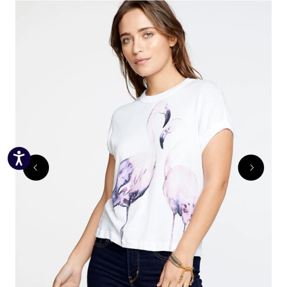 Chaser Flamingo tee